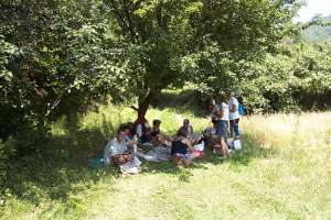 Click the image to view photos in this gallery.